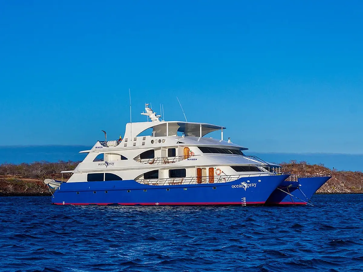 Power Catamaran C