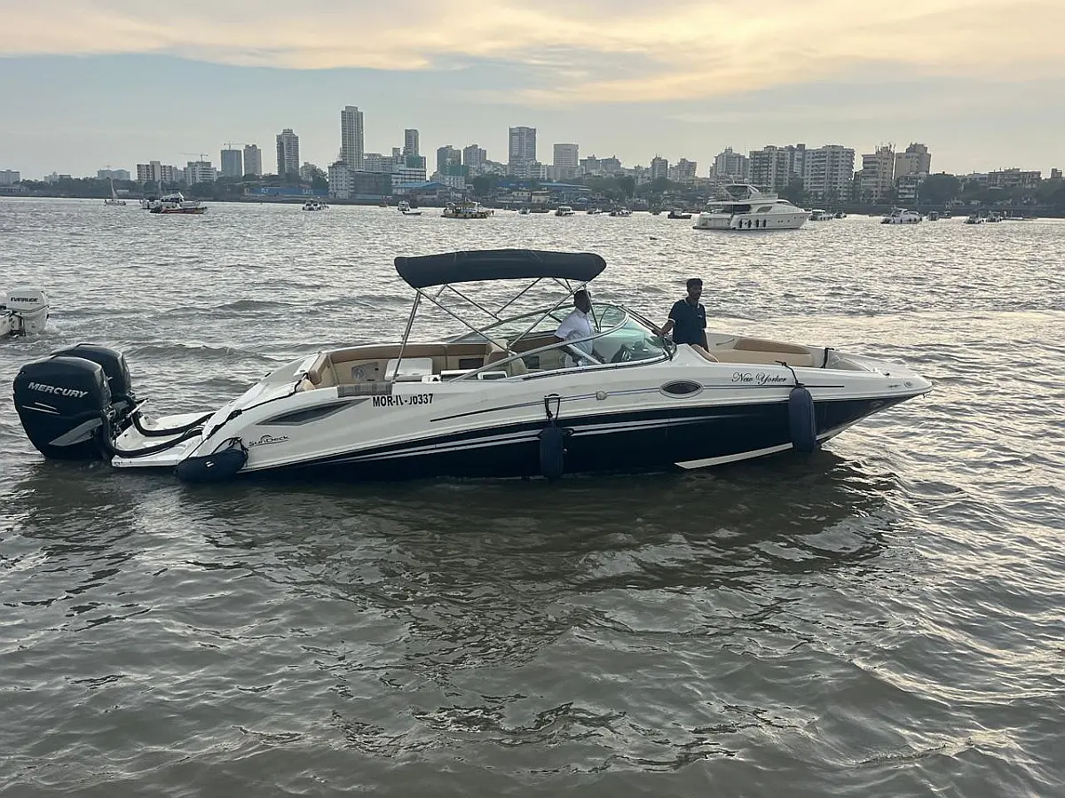 Sea Ray SDX 290