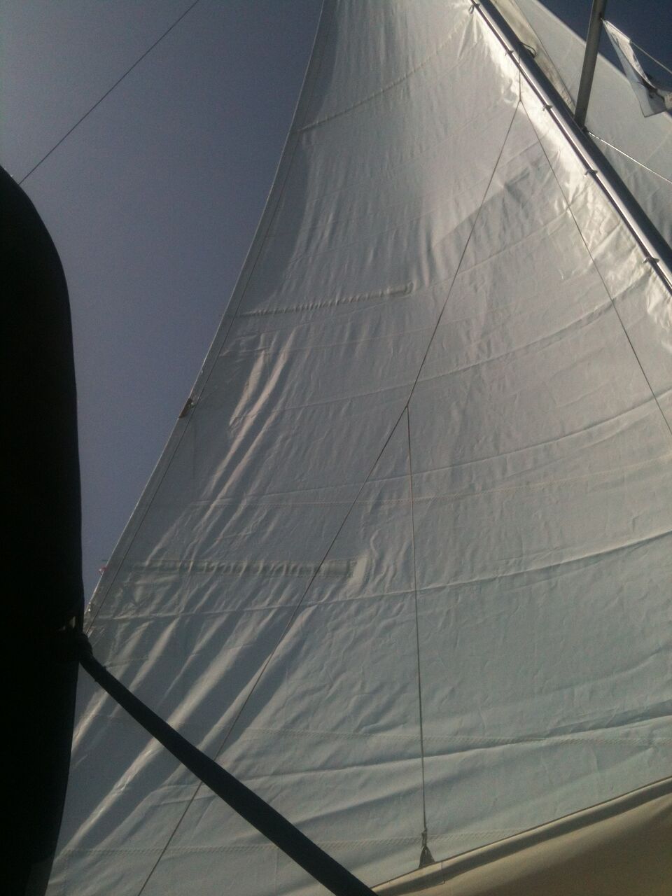 TRIZONIA 