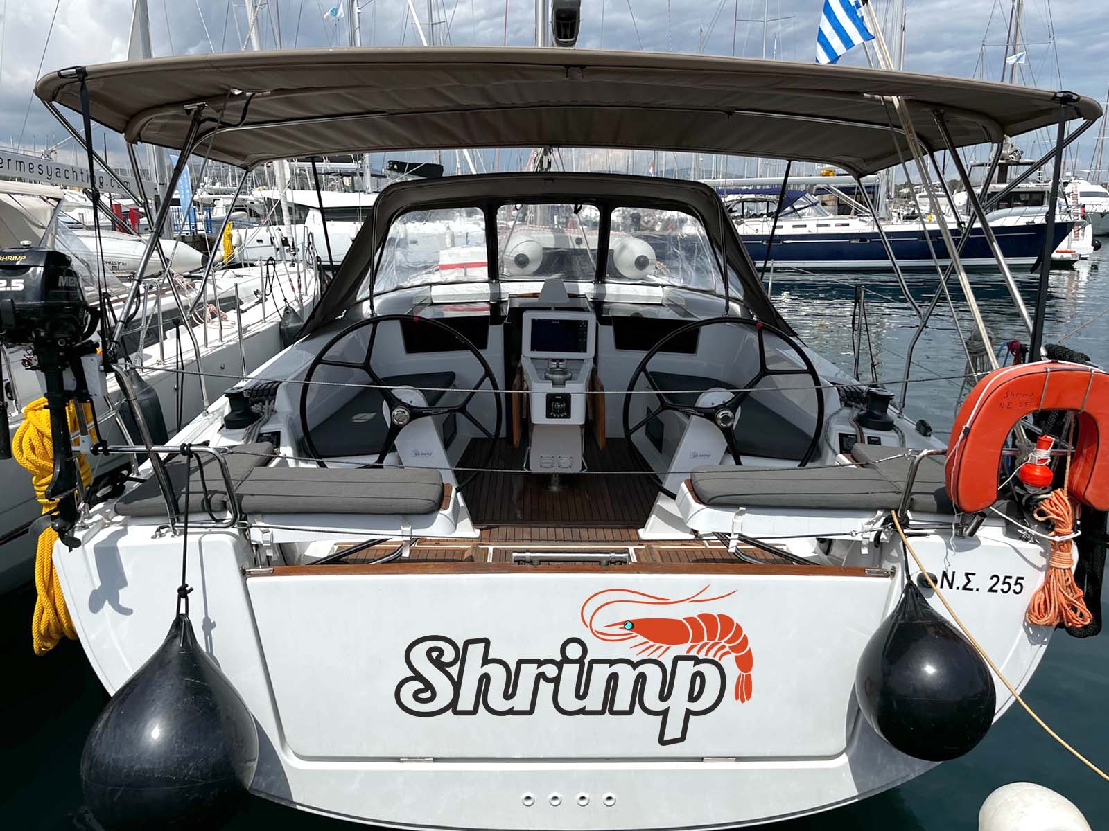 Shrimp