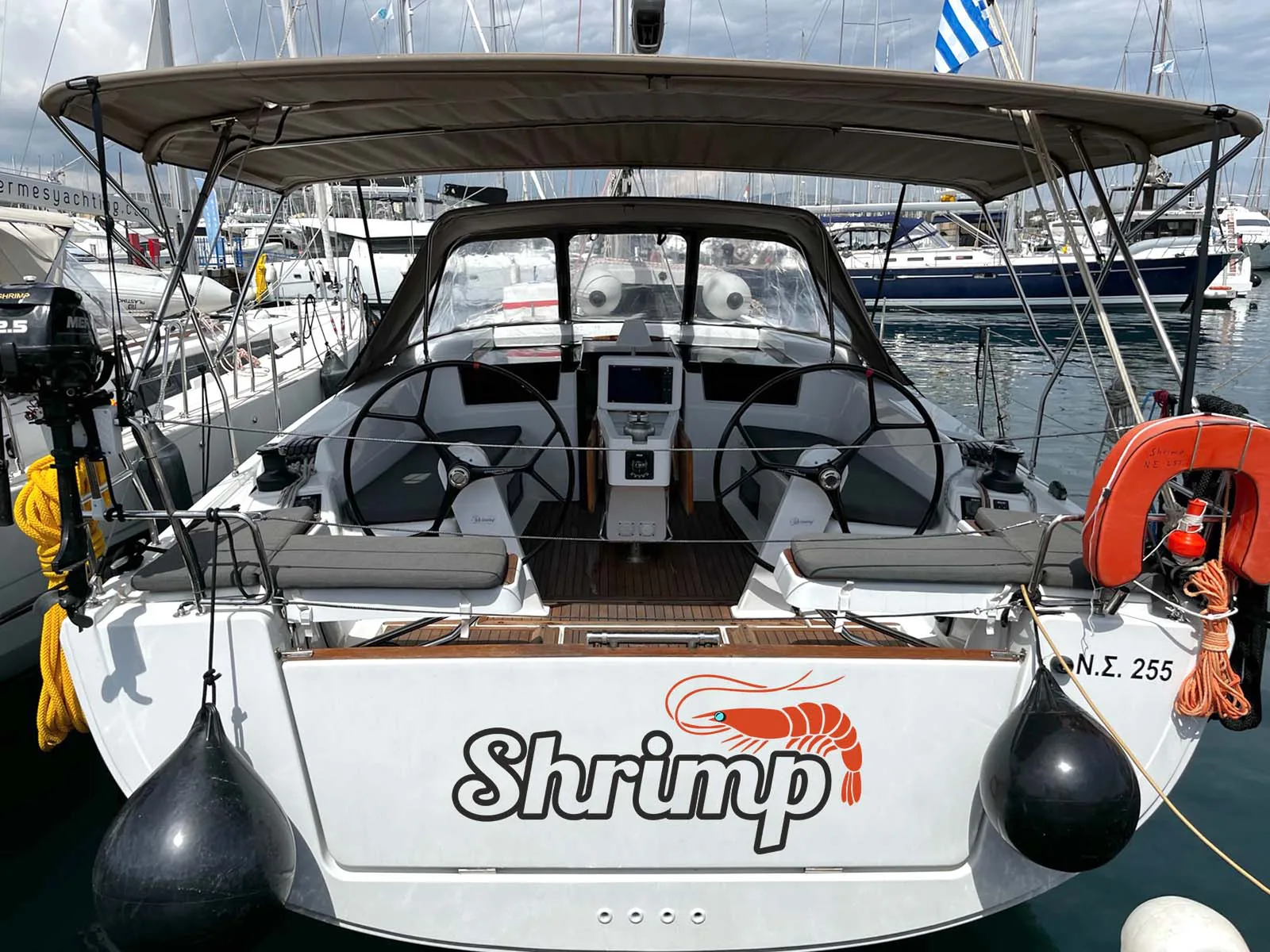 Shrimp