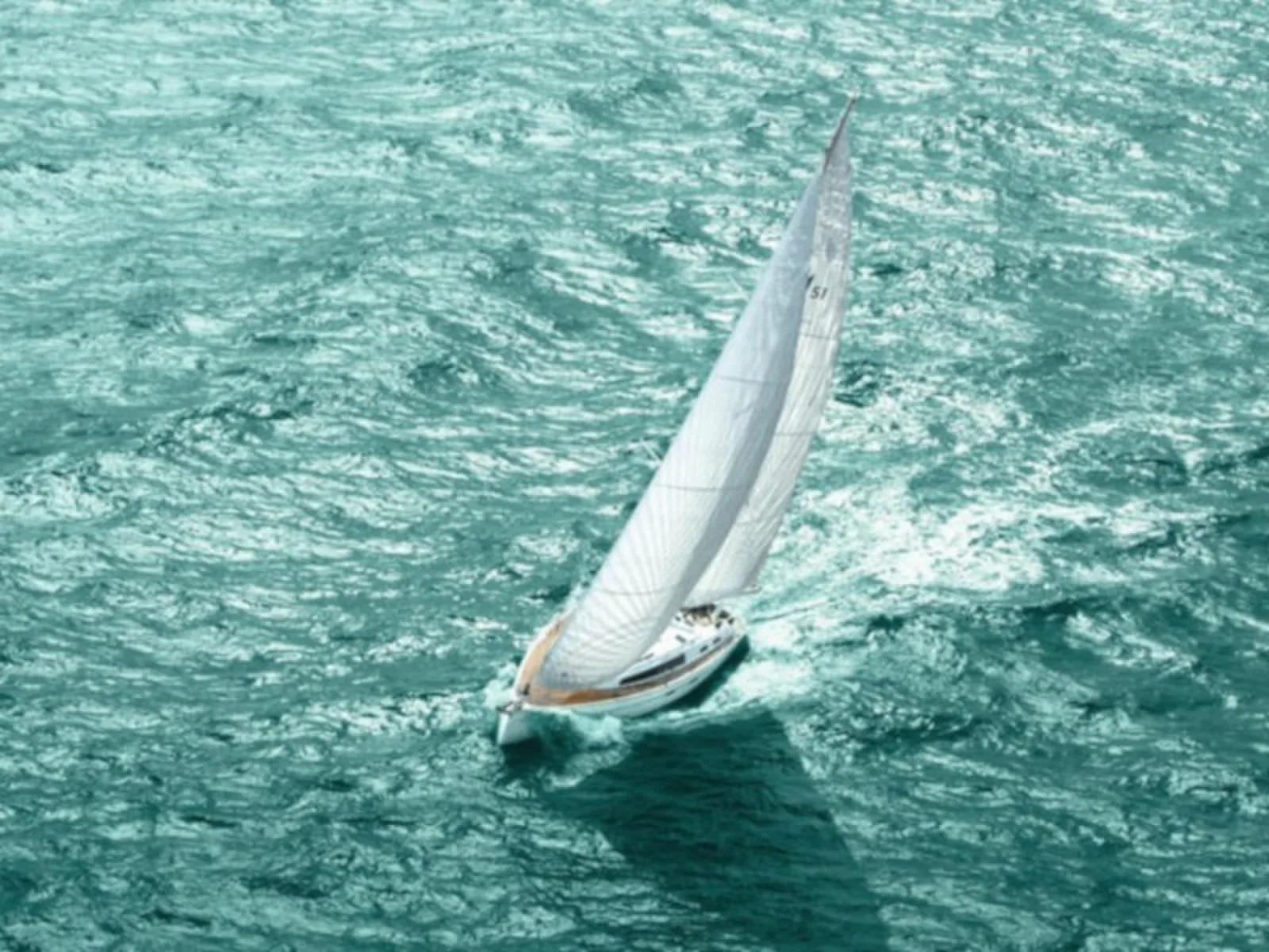Alma Libre III