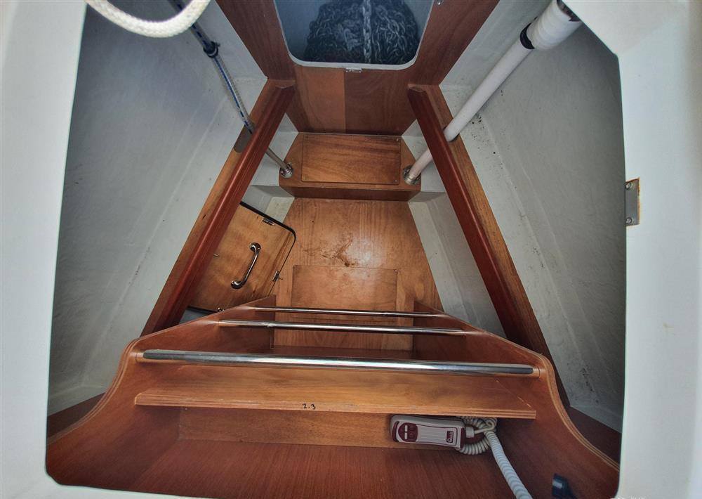 Amore Bavaria 46 Cruiser