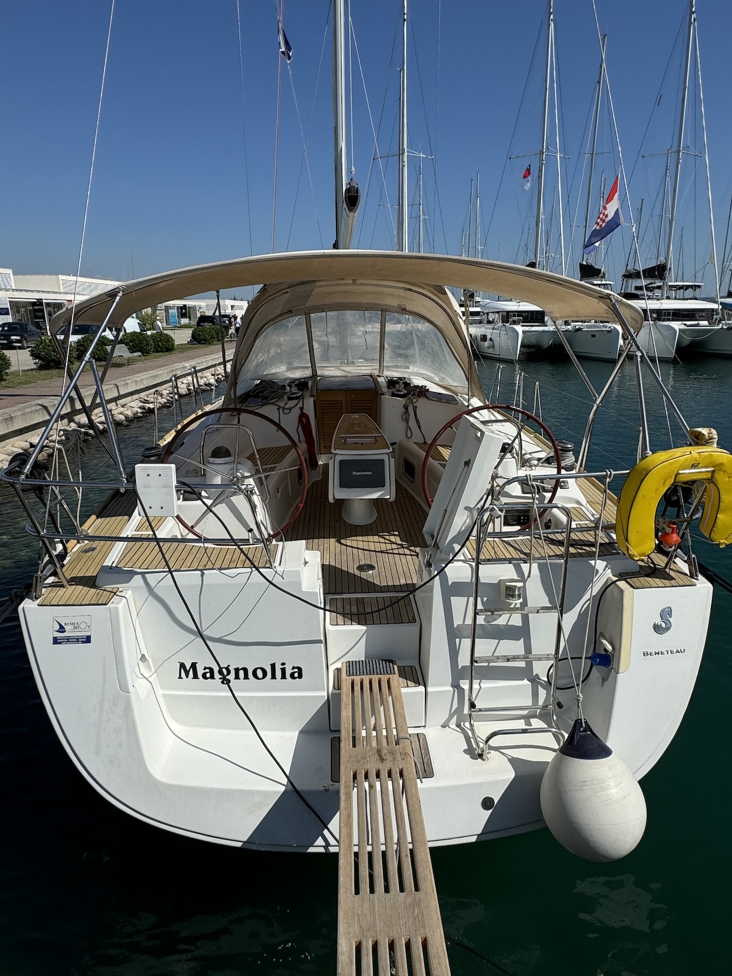 Magnolia