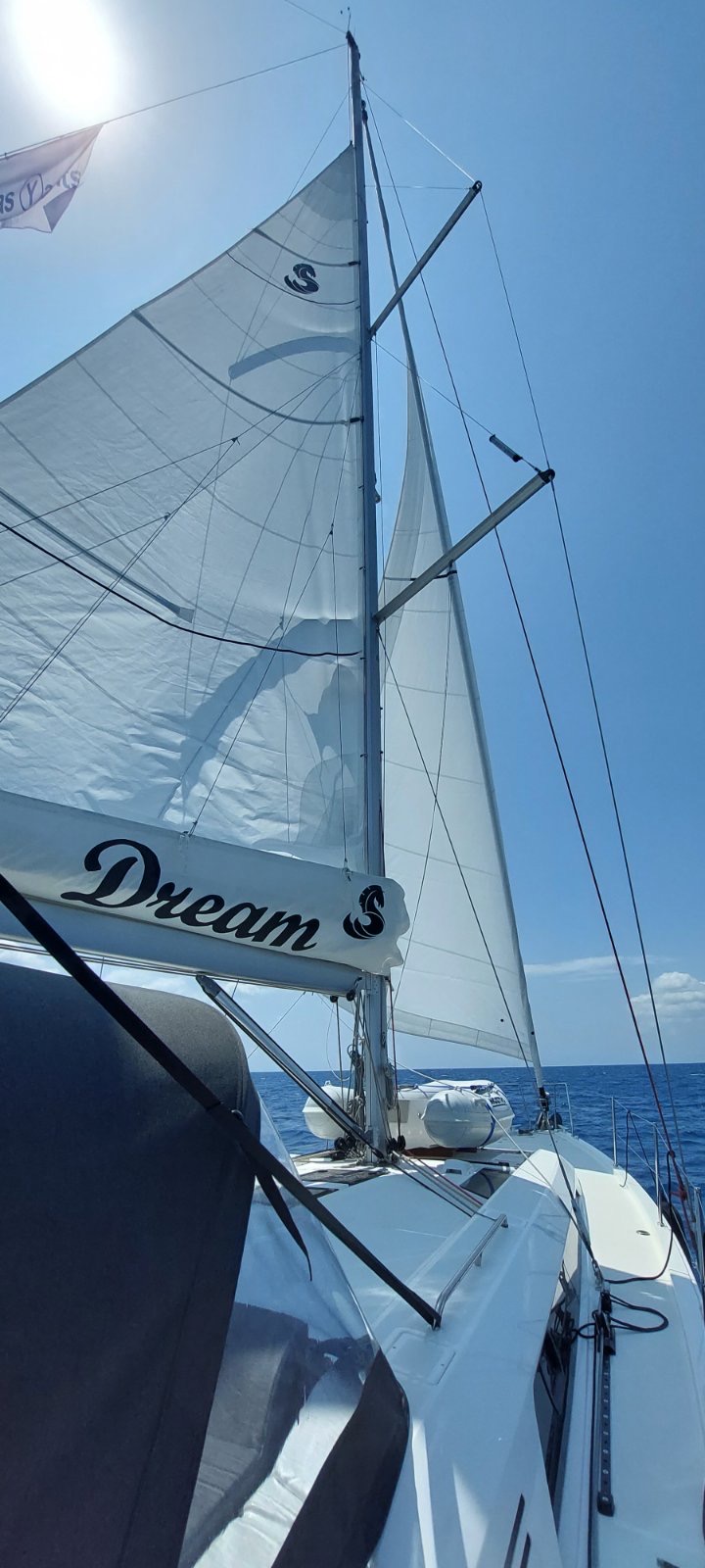 DREAM