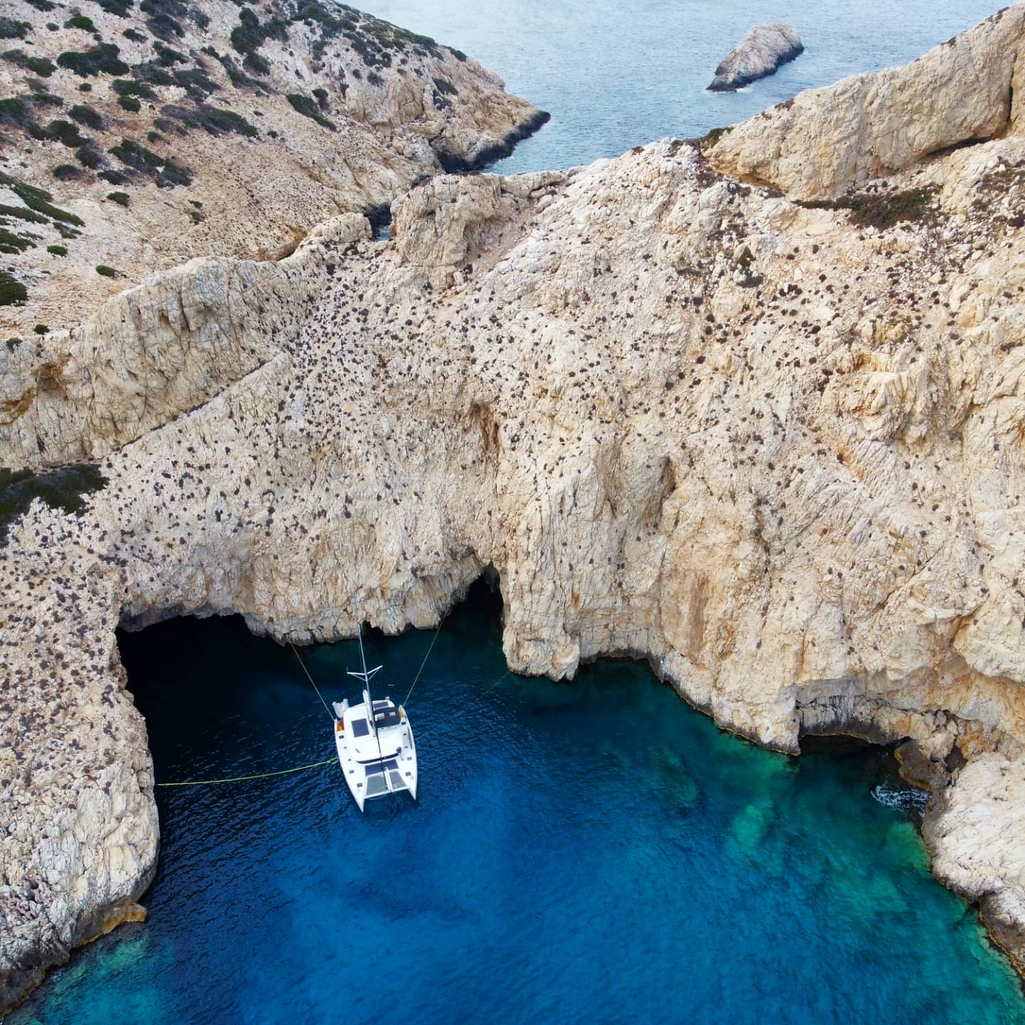 Aktaia