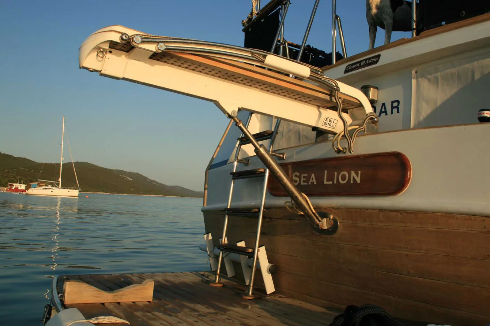 SEA LION
