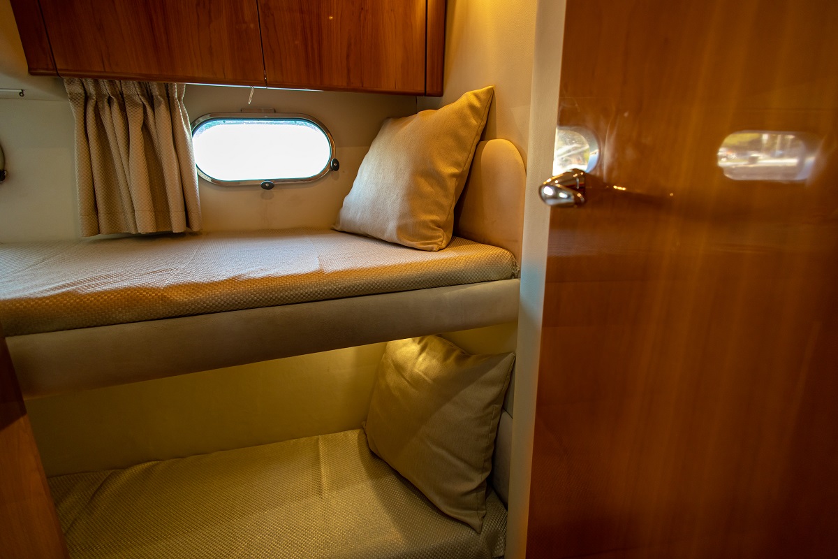 Carina