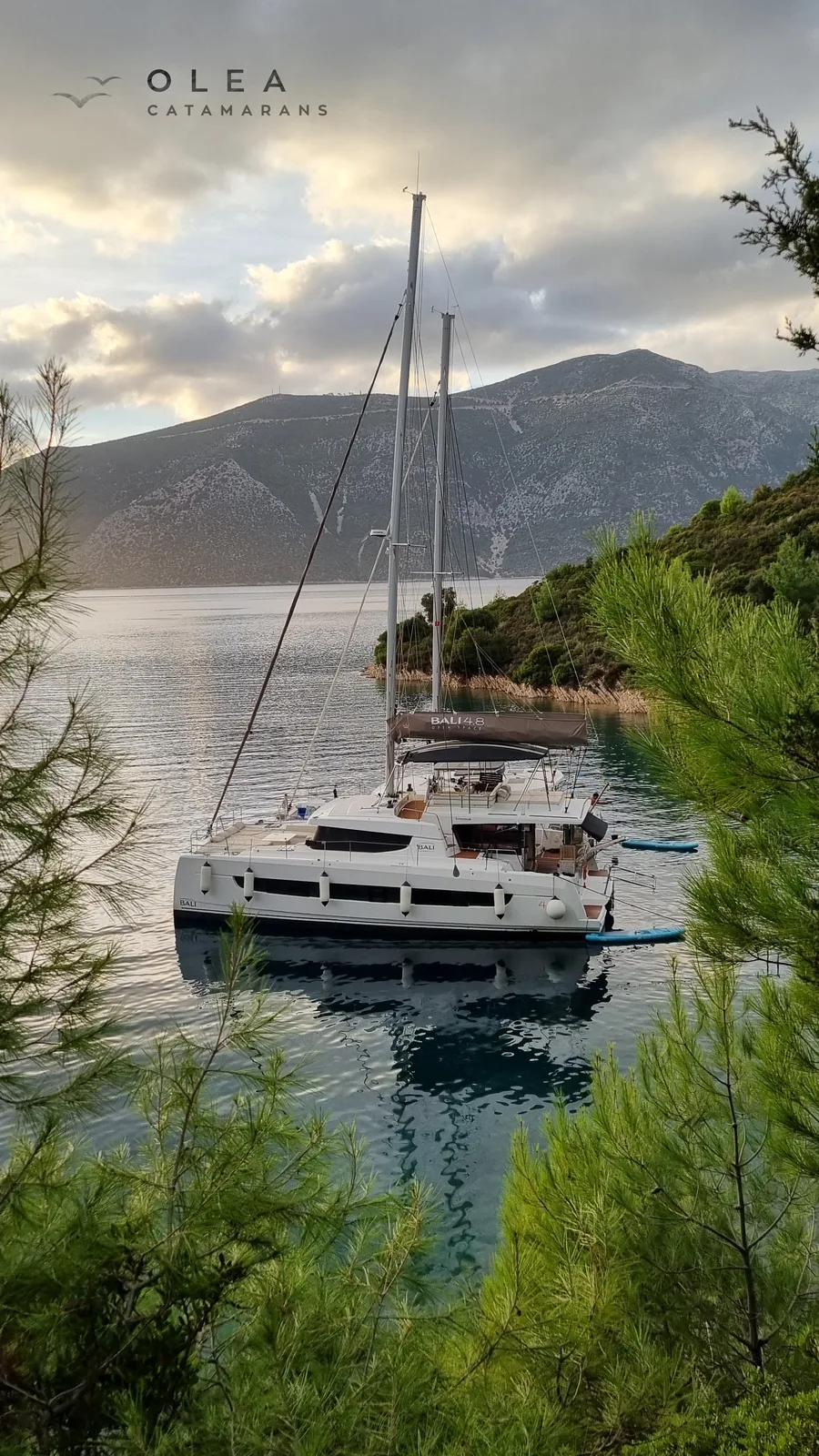 Olea II