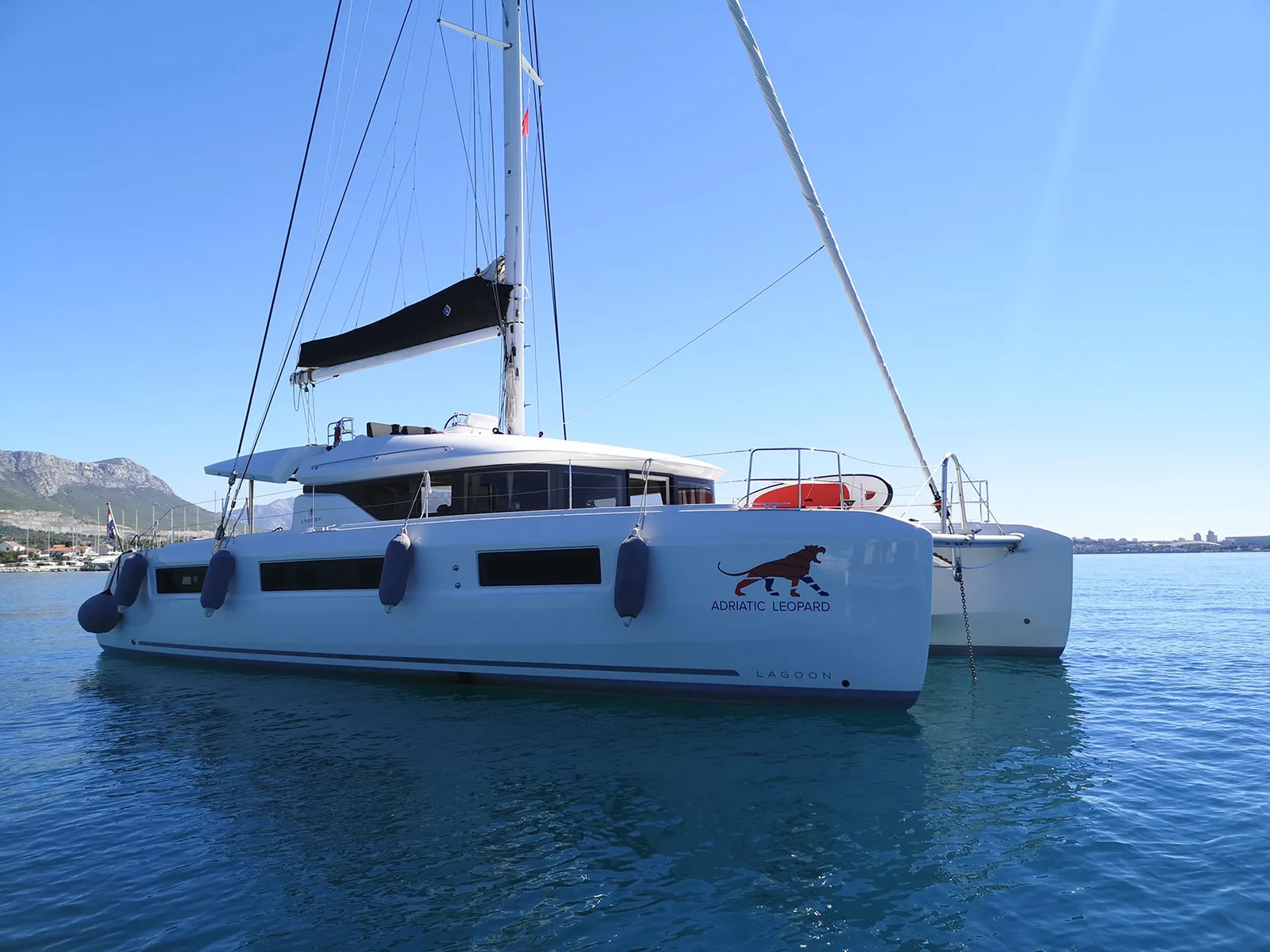 ADRIATIC LEOPARD 