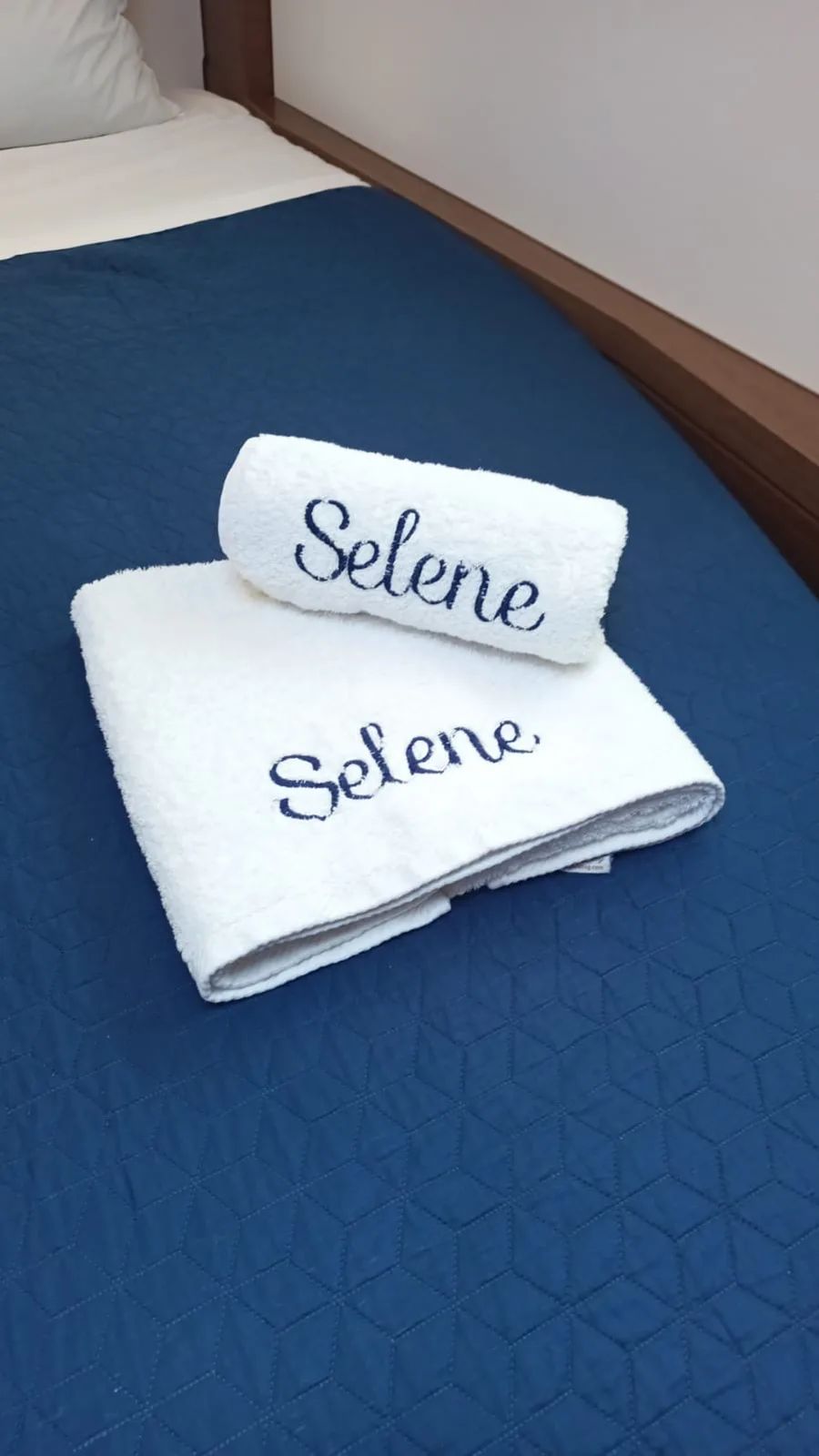 Selene | A/C generator watermaker