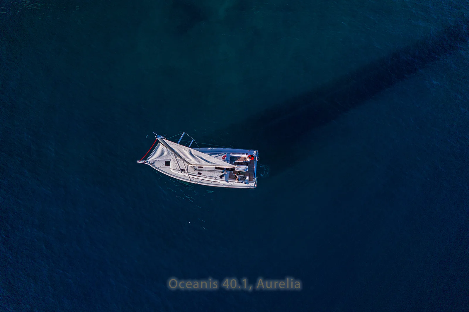 Aurelia