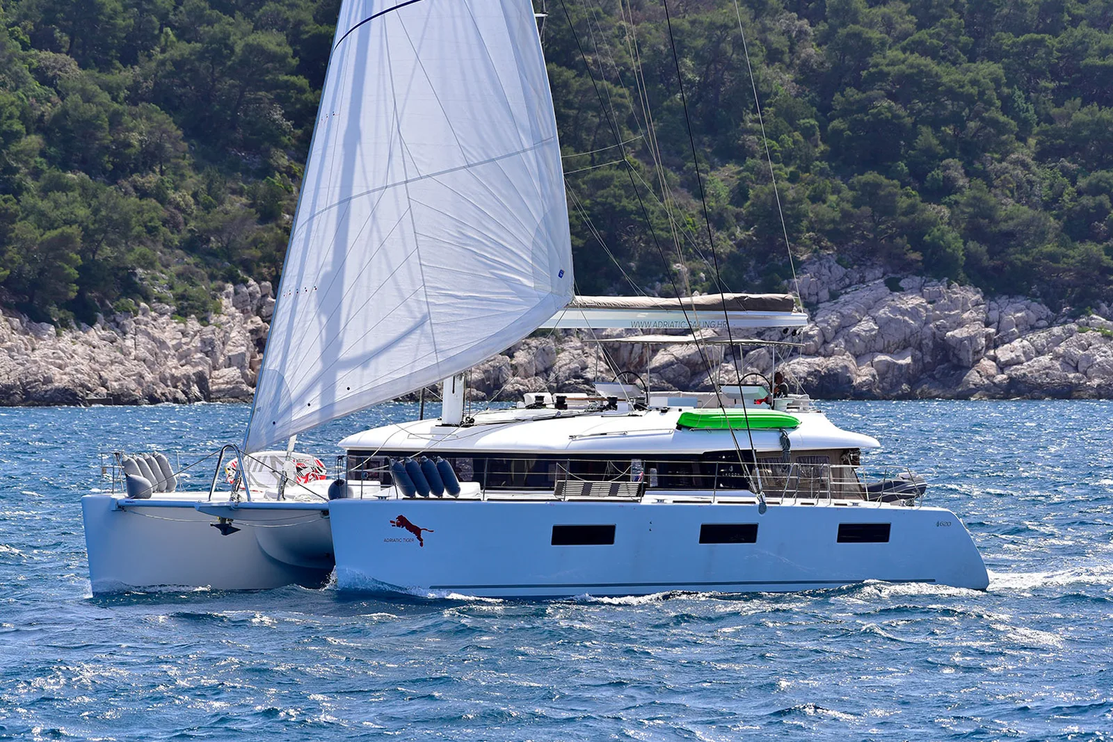 ADRIATIC TIGER