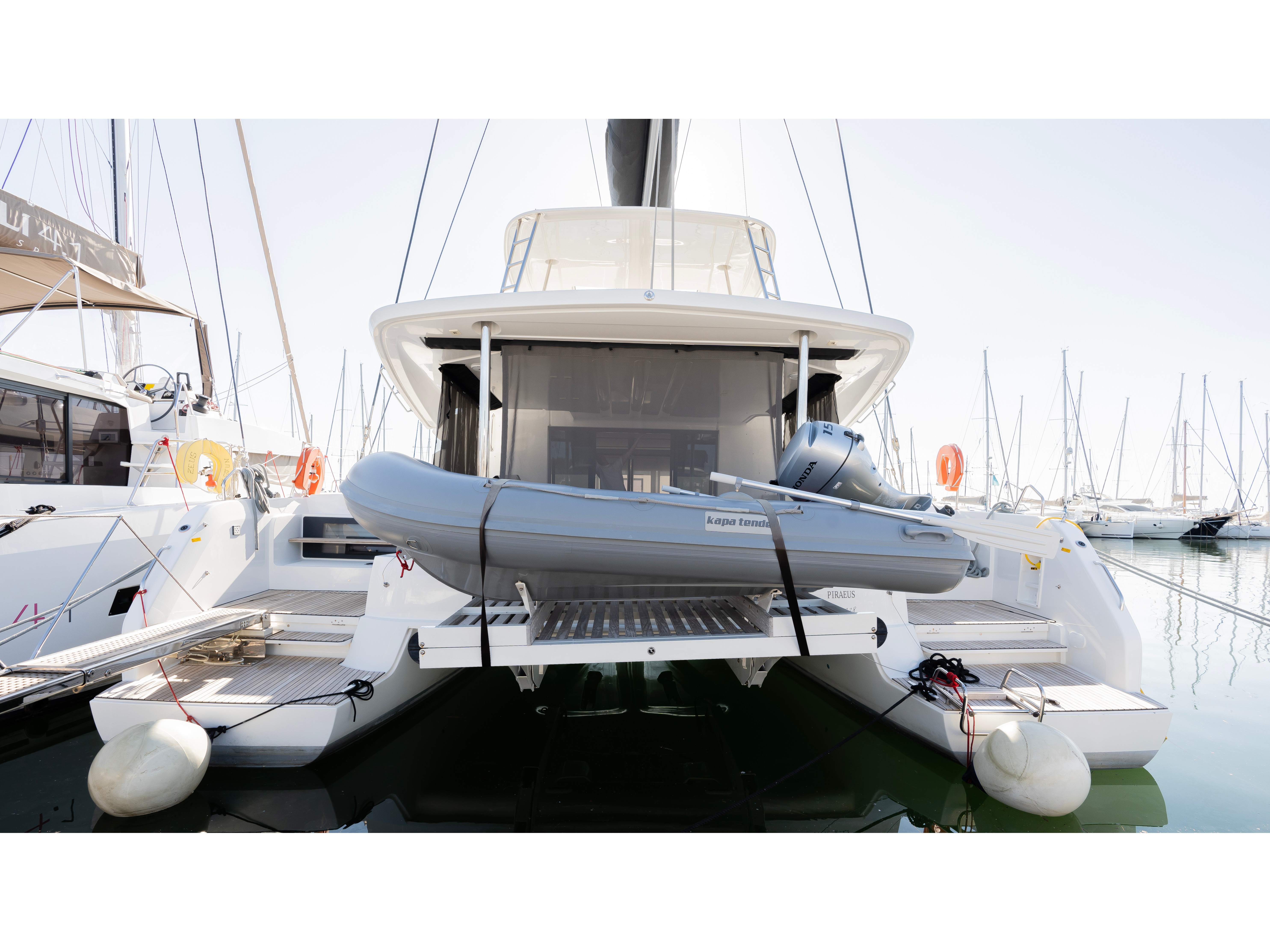 PELAGIC CAT