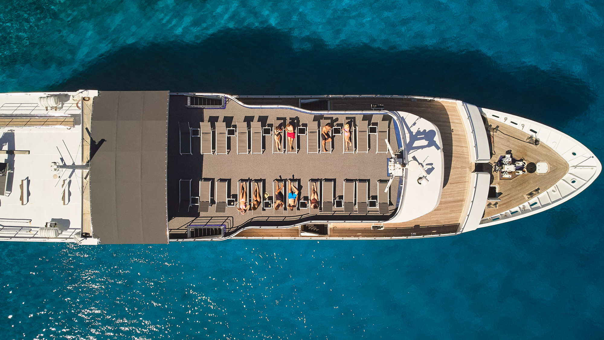 Lupus Mare