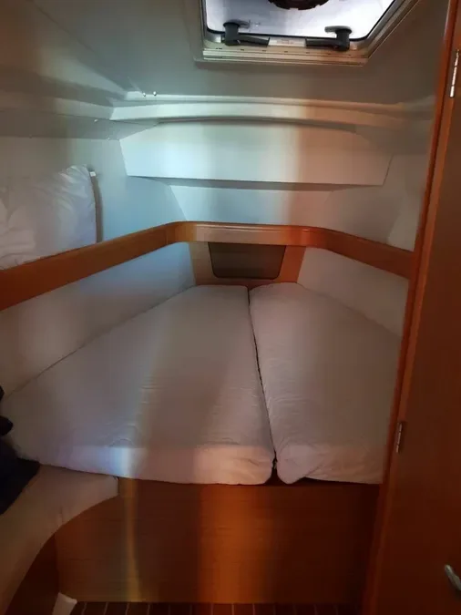 Argonaute