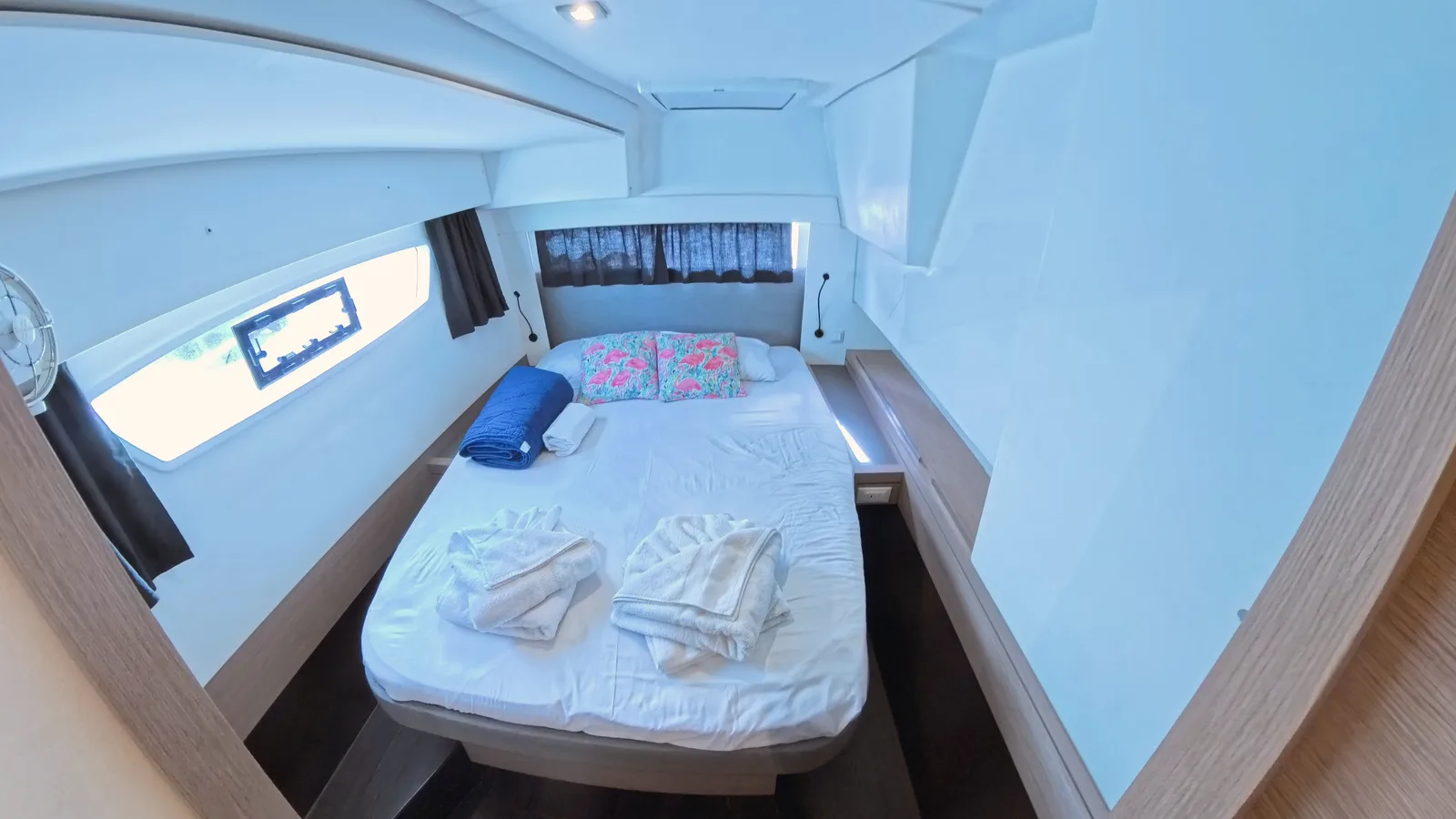 Parrot Ice