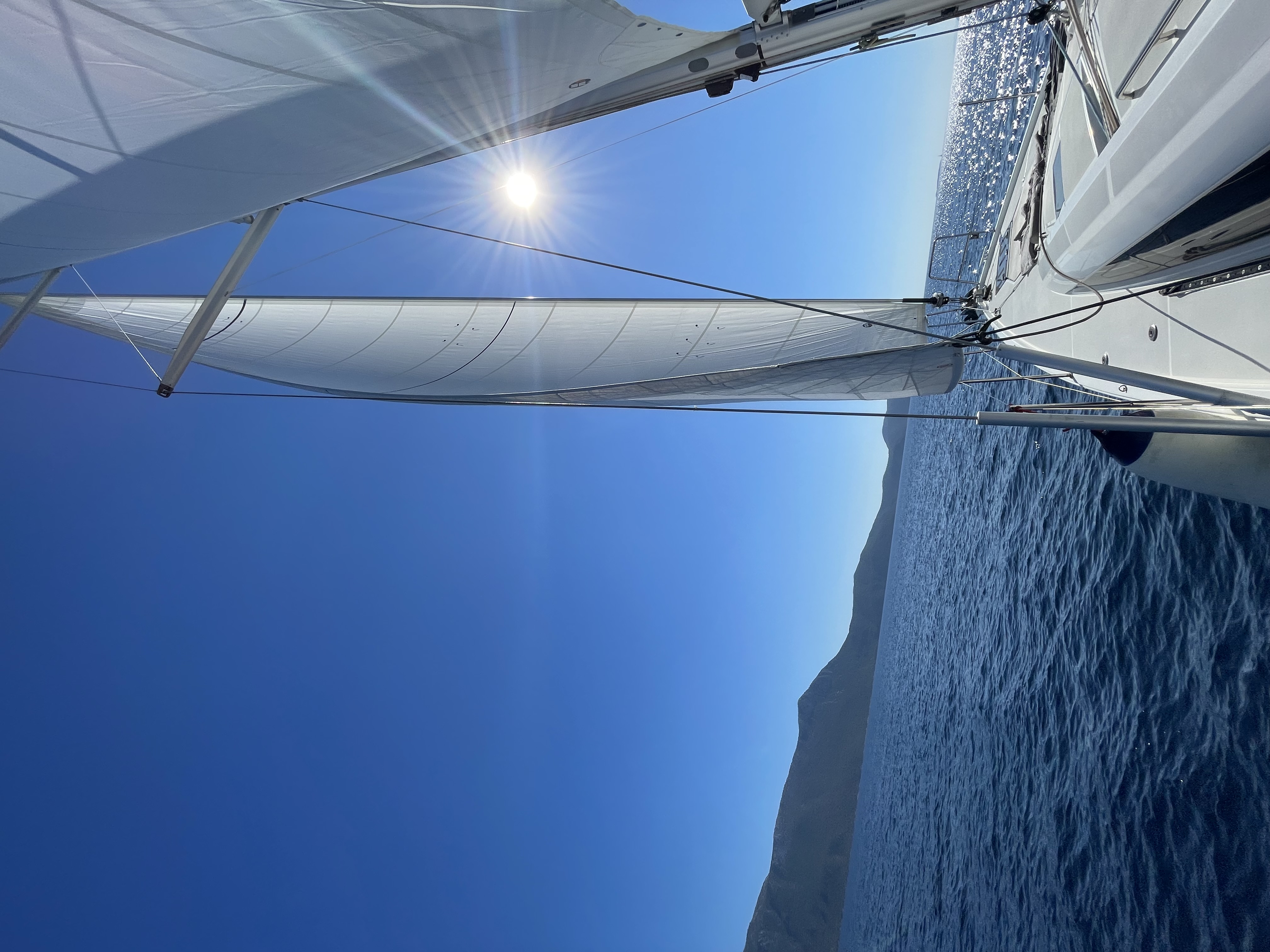 Erica