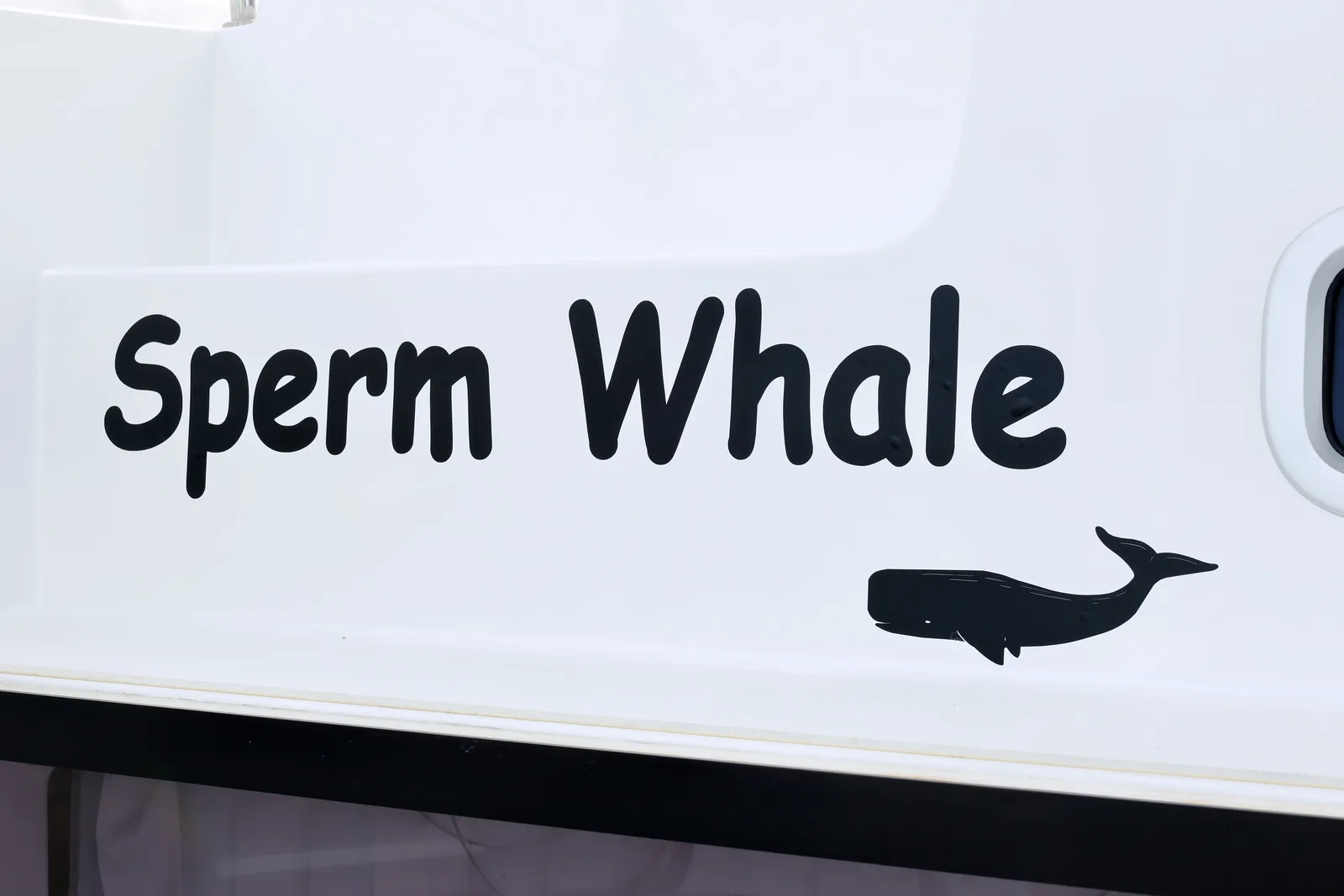 SPERM WHALE